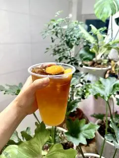 Hình ảnh Cold Brew Đào