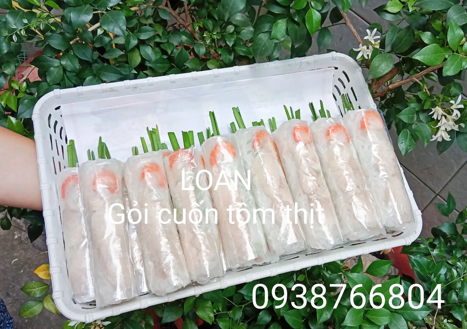 Combo 1 ( 5 cuốn tôm thịt + 1 trà tắc xí muội ) - 61.000 ₫ tại Loan - Gỏi Cuốn Tôm Thịt & Gỏi Khô Bò - Phạm Văn Hai