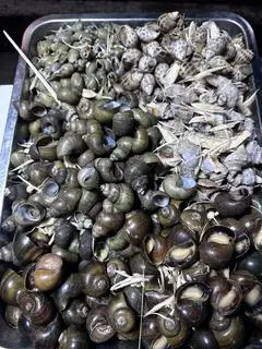Hình ảnh ốc  hấp thập cẩm mix 5 loại 500gr