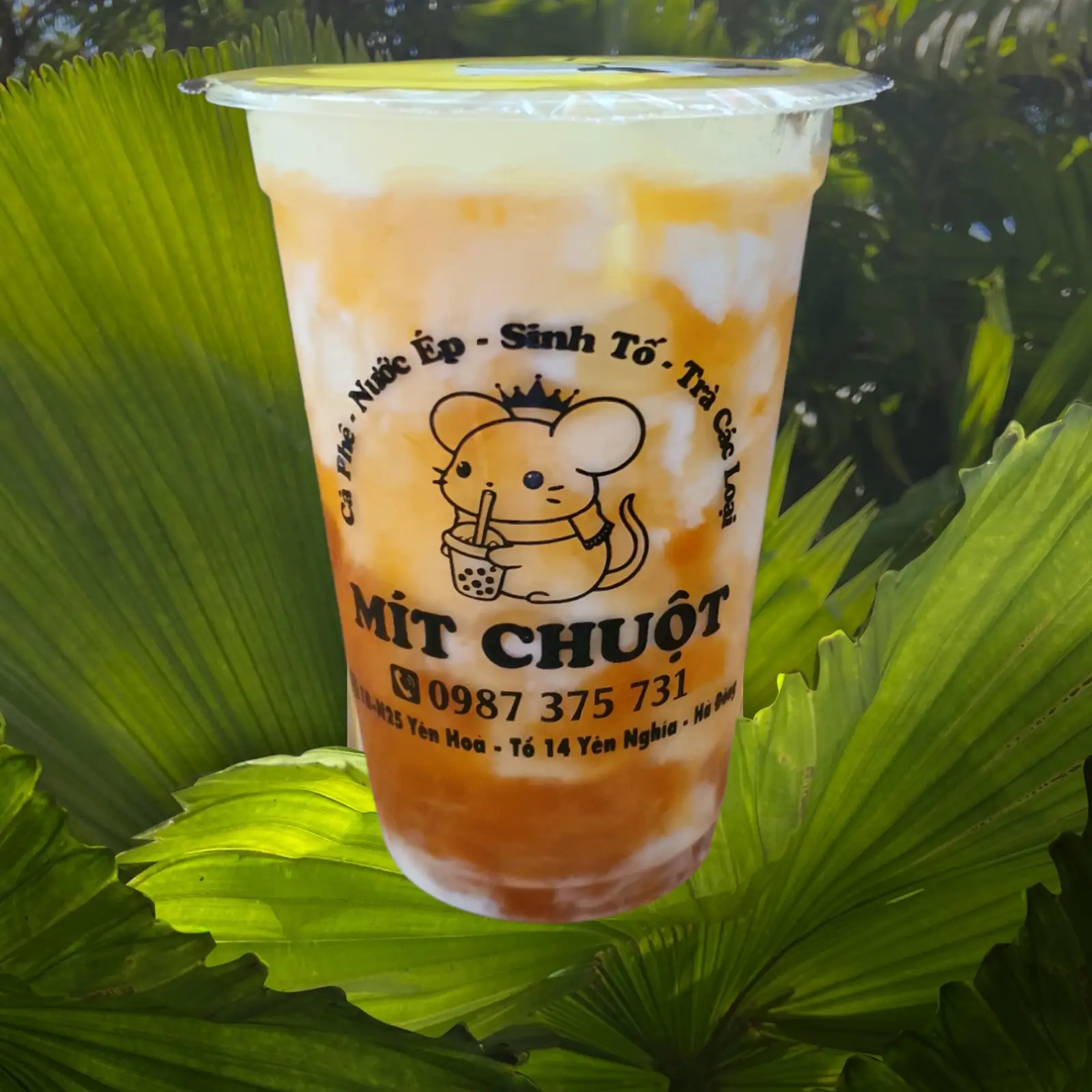 Hình ảnh Sữa chua  xoài