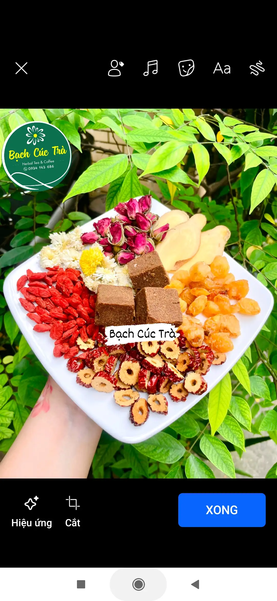 Trà Gừng Tươi Đường Đỏ Vân Nam - Hoa Mộc ( Trà Nóng ) - 45.000 ₫ tại Bạch Cúc Trà - Trà Hoa Thảo Mộc & Cà Phê - Lạc Long Quân