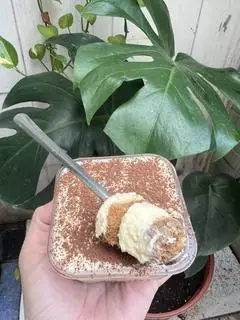 Hình ảnh Tiramisu truyền thống