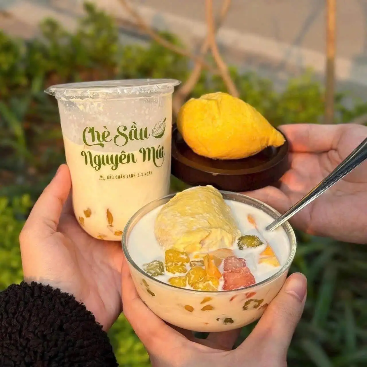 Hình ảnh Chè sầu nguyên múi