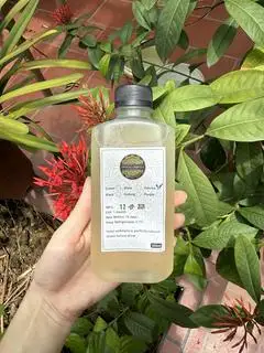 Hình ảnh Kombucha trà Nhật - 300ml