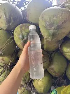 Hình ảnh Dừa Xiêm Chai Nhỏ 500ml