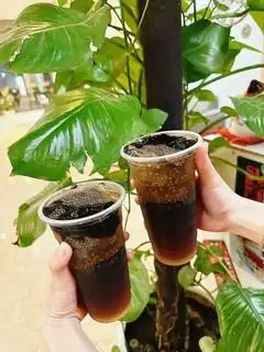 Hình ảnh Trà bí đao
