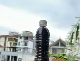 Hình ảnh Nước đỗ đen healthy