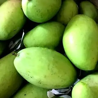 Hình ảnh Xoài xanh to nguyên vỏ