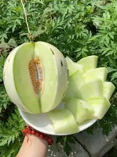 Hình ảnh Dưa Sữa Nhật Bản Cắt Khay