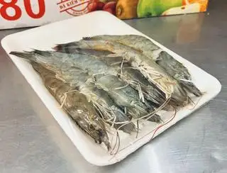 Hình ảnh TÔM