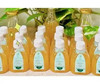 Everyday Gentle (Dạ dày nhạy cảm) - CHAI NHỰA - 24.000 ₫ tại KusaGut - Nguyễn Thái Sơn