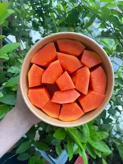 Hình ảnh Đu đủ