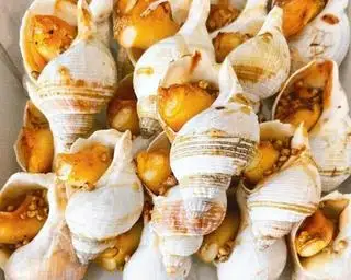 Hình ảnh ốc bulot nướng mỡ hành 
