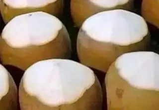 Hình ảnh Combo 5 trái Dừa xiêm còn vỏ size nhỏ