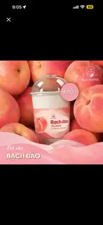 Hình ảnh  Trà Sữa Bạch Đào