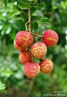 Hình ảnh không 9 ba 5 tám 7 1 hai tám hai