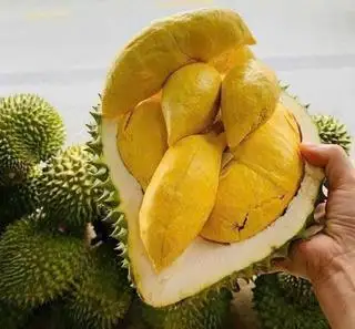 Sầu riêng Ri6 siêu ngon - 500g - 270.000 ₫ tại An Thảo Organic - Sầu Riêng Trái Cây, Sinh Tố Nước Ép & Sữa Hạt Dinh Dưỡng - Đường Số 4