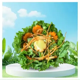 Hình ảnh Salad nature