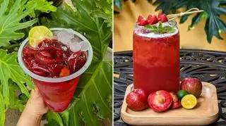 TRÀ MẬN HÀ NỘI LY TO KHỔNG LỒ - 20.000 ₫ tại Gia Huy - Nước Mía, Dừa & Cà Phê - Đông Hồ