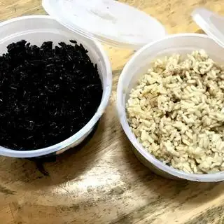 Cơm rượu nếp cẩm - 35.000 ₫ tại Bảo Thanh - Bún Mọc & Bún Riêu Tôm - Hồ Đắc Di