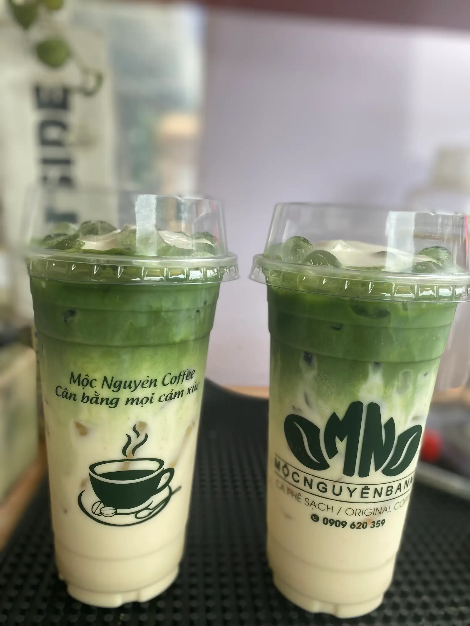Hình ảnh matcha sữa gấu Sz 700ml