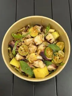 Hình ảnh Bạch tuộc sốt Thái