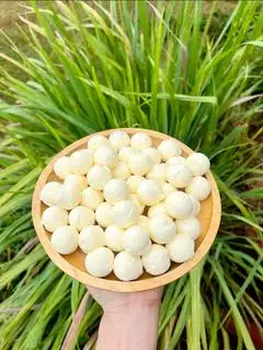 Hình ảnh Chesse Ball