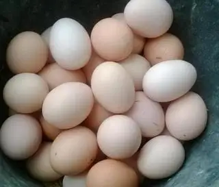 trứng gà vữa - 8.000 ₫ tại Bánh Tráng Tỏi 019 - Trần Quang Diệu