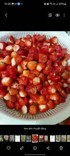 sinh tố dâu - 40.000 ₫ tại Gà Tre Su Su - Nguyễn Thị Minh Khai