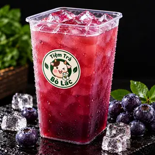 Hình ảnh Trà việt quất