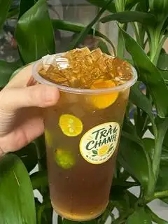 Hình ảnh Trà quất 500ml