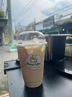 Hình ảnh cam sữa