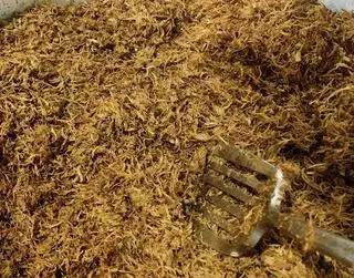 Hình ảnh Ruốc nấm hương Chay Hồng Hạc 200g