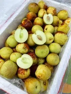 Hình ảnh Hộp hồng táo giòn ngọt