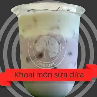 Hình ảnh Đậu dừa sữa dừa M