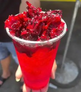 Hình ảnh Trà atiso