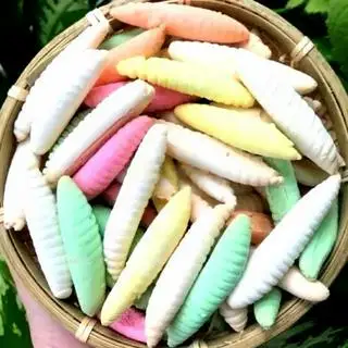 Bánh Men Đuông 320g - 72.000 ₫ tại  Bánh Mì Thịt Nướng Bill Ken - Điện Biên Phủ