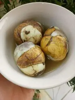 Hình ảnh trứng vịt lộn 