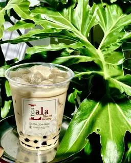 Hình ảnh Trà nhài búp trắng
