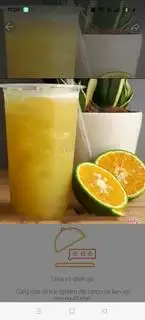 Hình ảnh Mía Cam