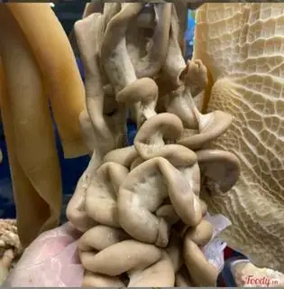 Phèo bò - 50.000 ₫ tại Lẩu Bò Phương Dung - Trần Văn Đang