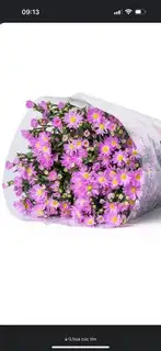Hình ảnh SĐT Quán 0978 069 831