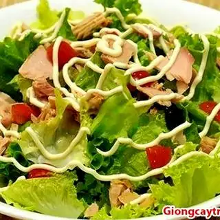 Hình ảnh Salad mayonnaise