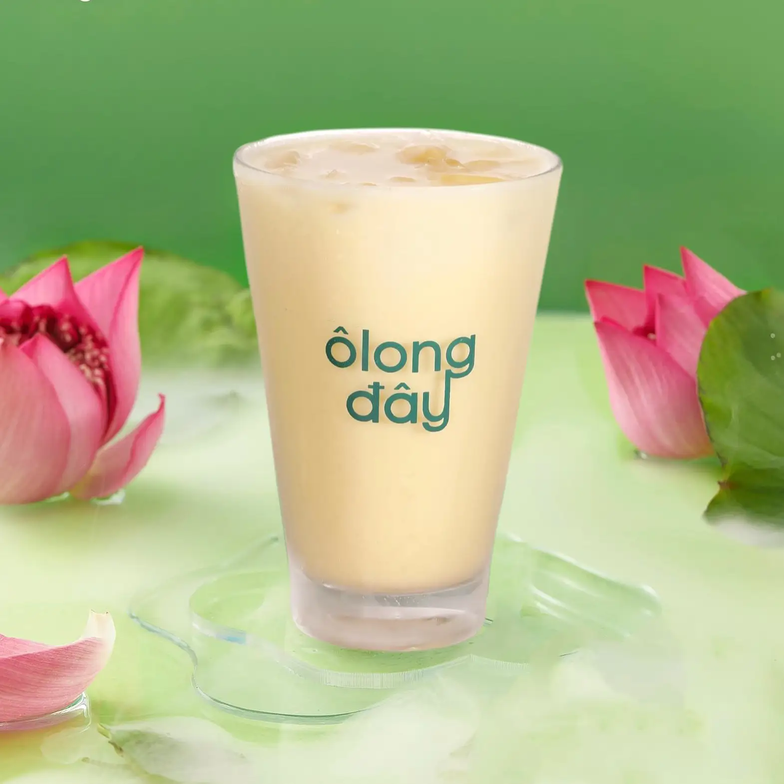 Hình ảnh Ôlong sen sữa