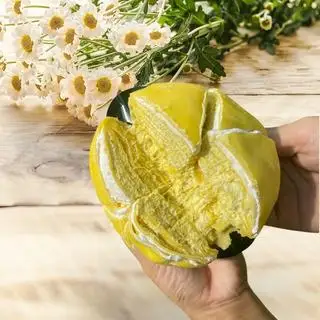 Ngàn lớp size mini 10cm truyền thống - 115.000 ₫ tại  Mẹ Zuka - Tiệm Bánh Crepe Sầu Riêng & Bánh Ngọt - Lê Đức Thọ