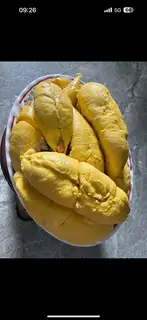 Hình ảnh 1,5kg sầu riêng musang king tách sẳn 1,5kg