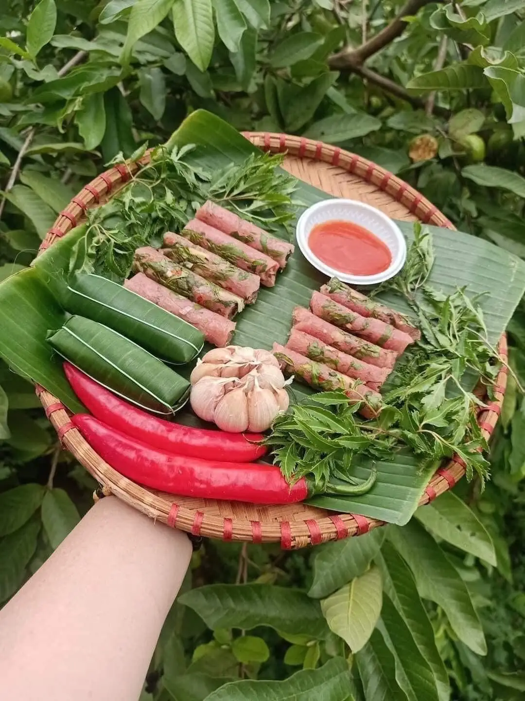 Hình ảnh COMBO 30chiếc Nem Chua Thanh Hoá