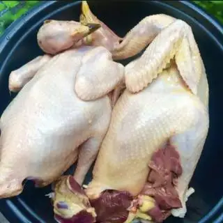 Hình ảnh Gà tre lớn (1 con)