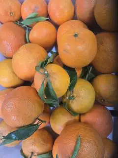 Hình ảnh Combo 2 kg Quýt Ôn Châu 