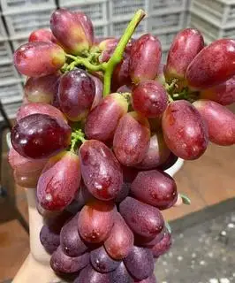 Nho Đỏ ko hạt 200gr - 50.000 ₫ tại Quán Ăn Vặt & Trái Cây Tươi Dì 2 Sương - Lê Văn Sỹ